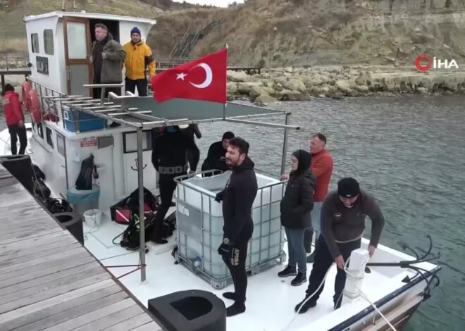 Çanakkale Savaşları’ndan kalma 109 yıllık ‘HMS Majestic’ batığına 400 ıstakoz salındı